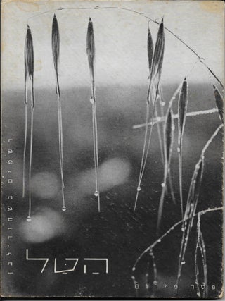 The Dew: Impressions in Black and White - La Rosée: Impressions en Noir et Blanc