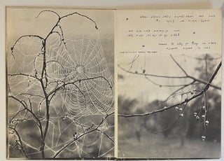 The Dew: Impressions in Black and White - La Rosée: Impressions en Noir et Blanc